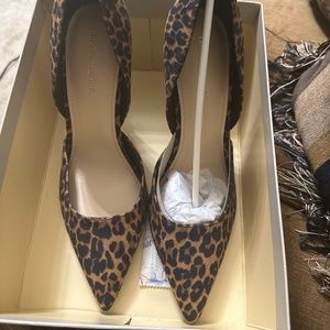 Spicy Animal Print Pumps Never Worn!!!